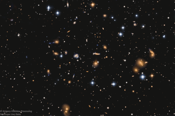 Abell 251 Galaxy Cluster