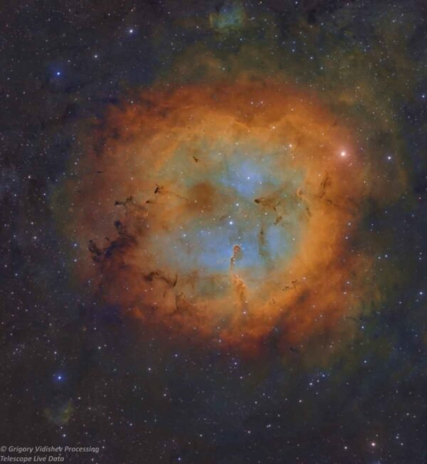 IC 1396 Elephant’s Trunk Nebula