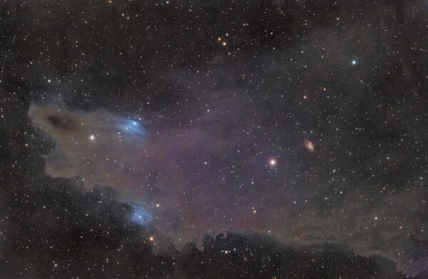 LDN 1235 Shark Nebula Zoom View