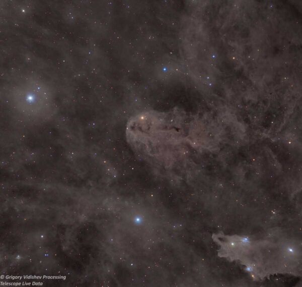LDN 1251 Rotten Fish Nebula