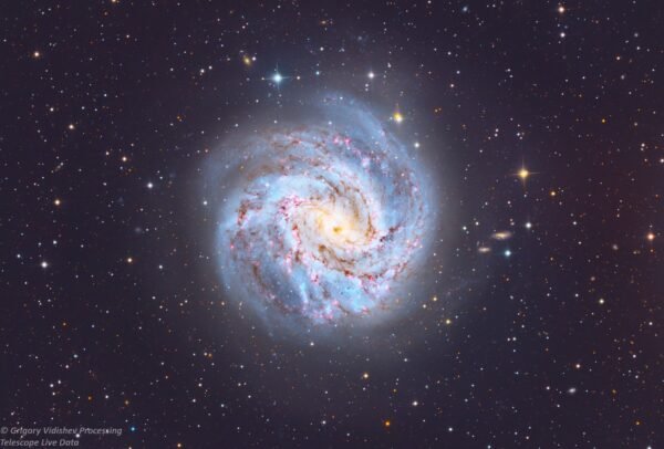 M 83 Southern Pinwheel Galaxy