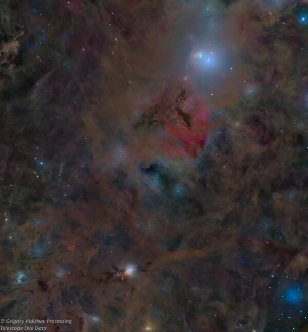 NGC 1333 Nebula